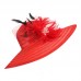 A265 s Formal Kentucky Derby Hats Wide Brim Feather Church Sun Floppy Cap  eb-24564713